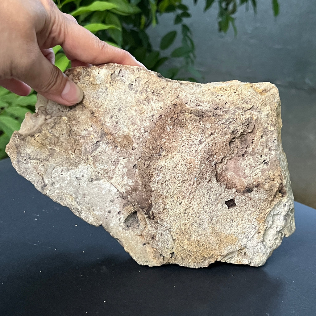 Calcit cave cu formă botroidală – specimen, model 2, pietre semipretioase - druzy.ro 4 