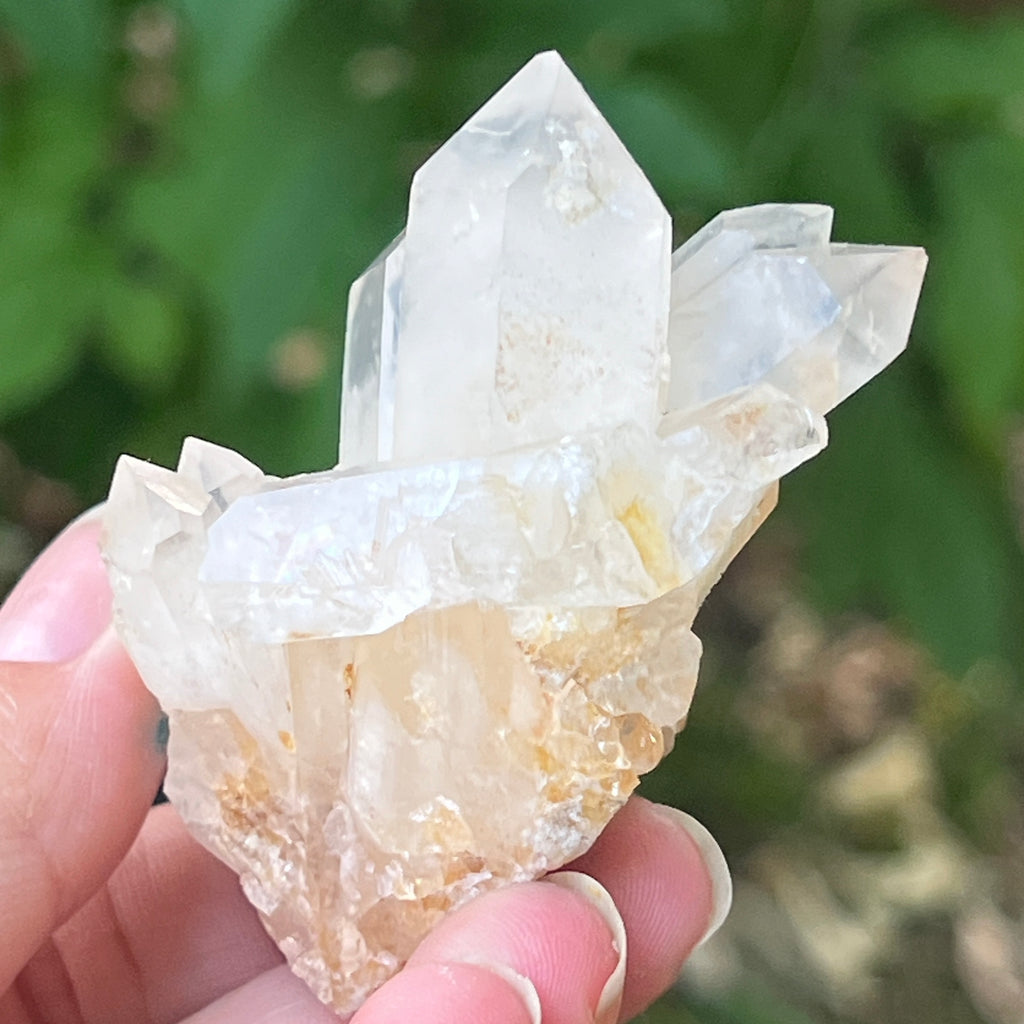 Cluster cuart incolor, floare de mina m20, pietre semipretioase - druzy.ro 4 