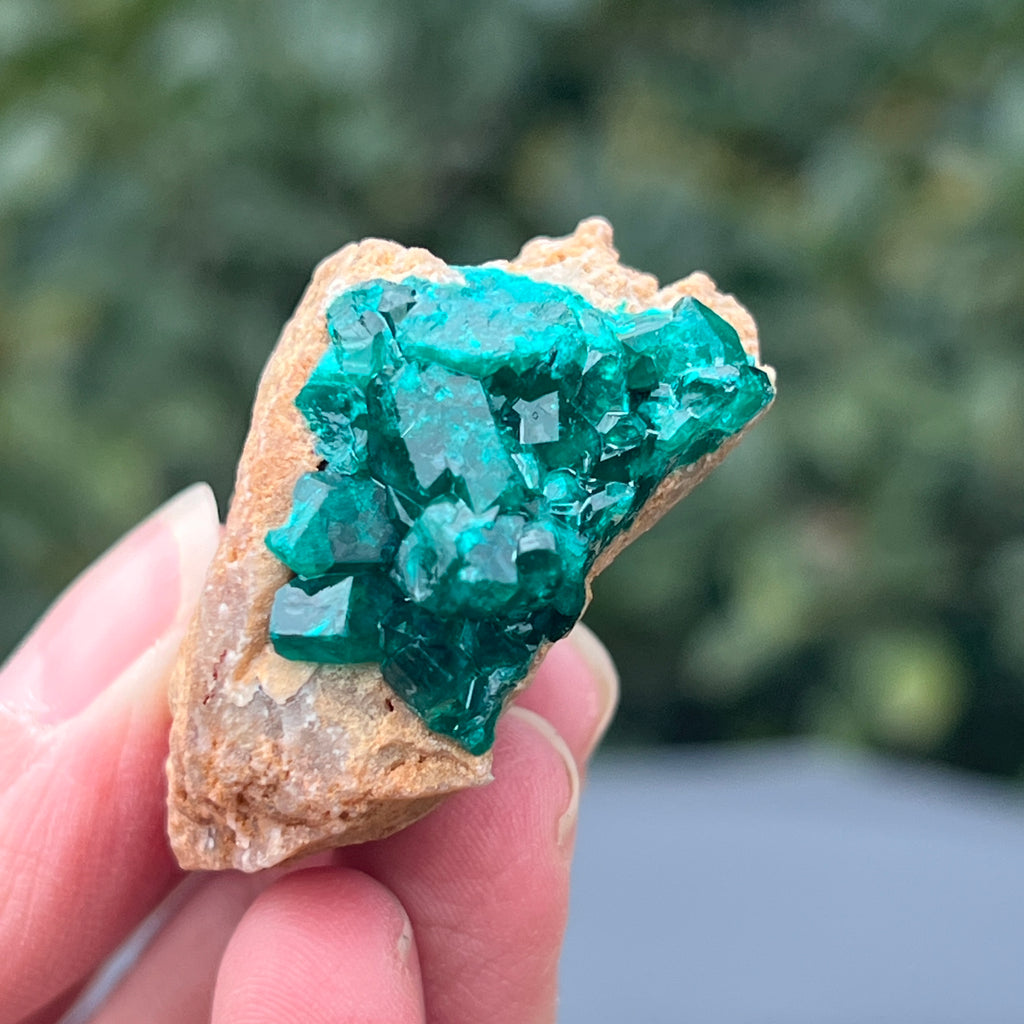 Dioptaz cluster din Congo model 21, pietre semipretioase - druzy.ro 1 