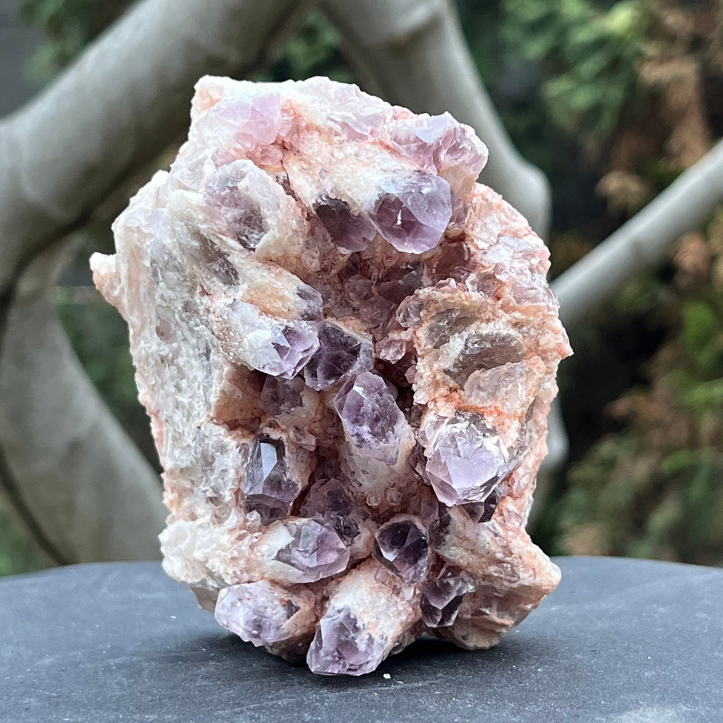 Cluster ametist sweet model 2 din Zambia, druzy.ro, cristale 1