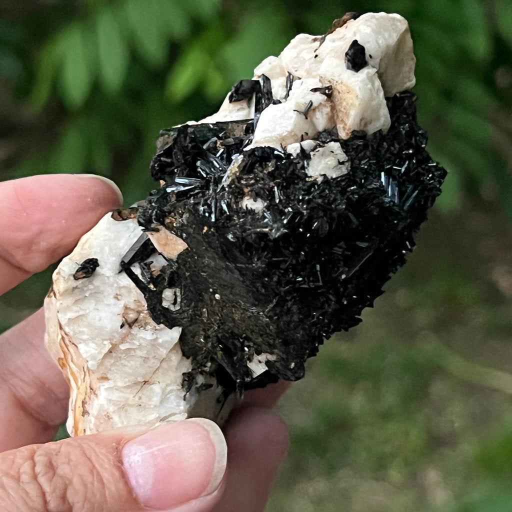 Cluster turmalina neagra model 10 din Erongo, Namibia, pietre semipretioase - druzy.ro 2 