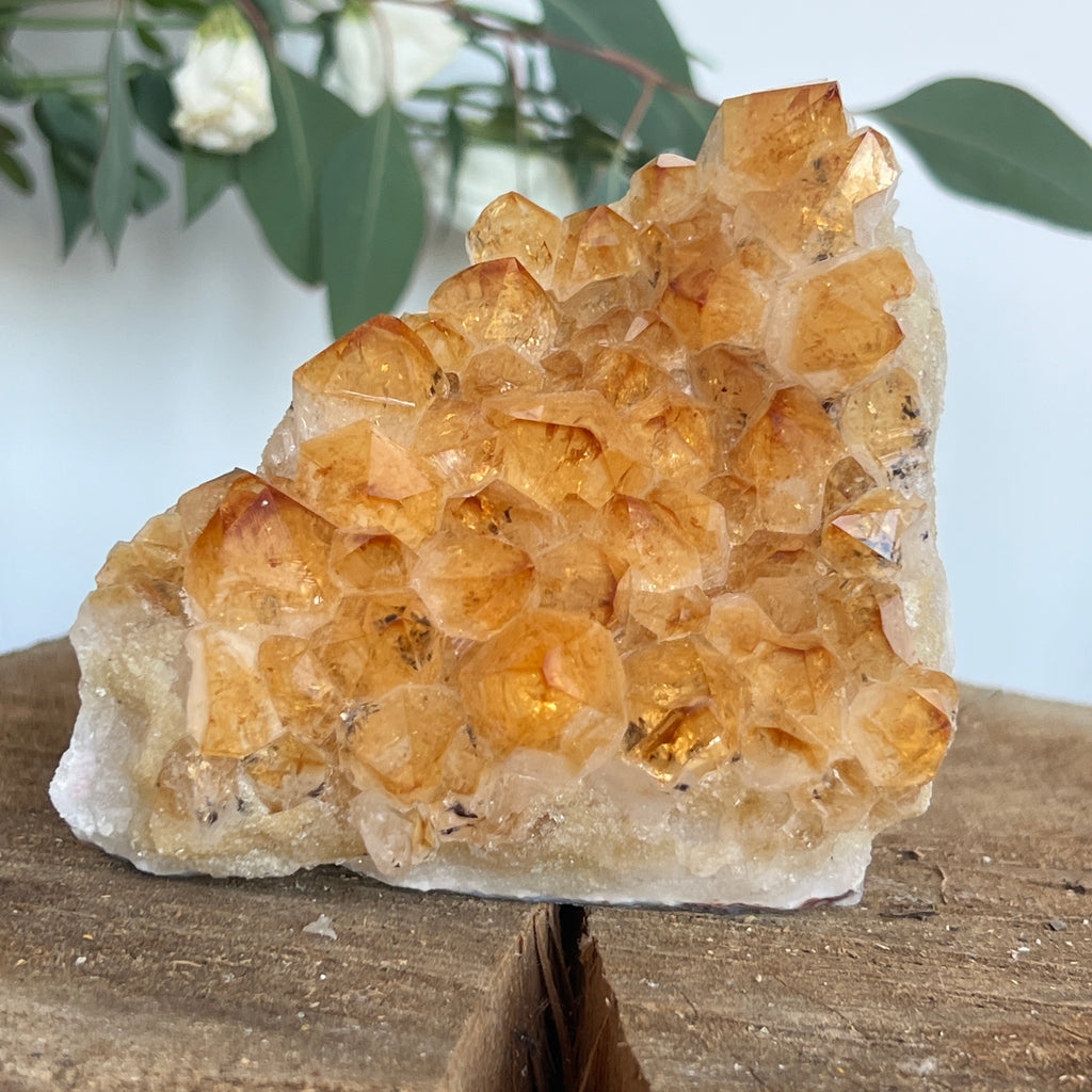Cluster de Citrin tratat termic| Model 9, pietre semipretioase - druzy.ro 5 