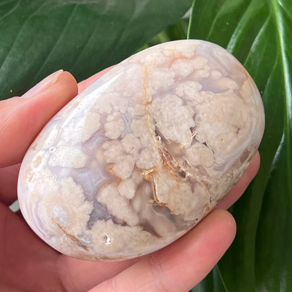 Palmstone agat coral floare rosu md10, pietre semipretioase - druzy.ro 1 