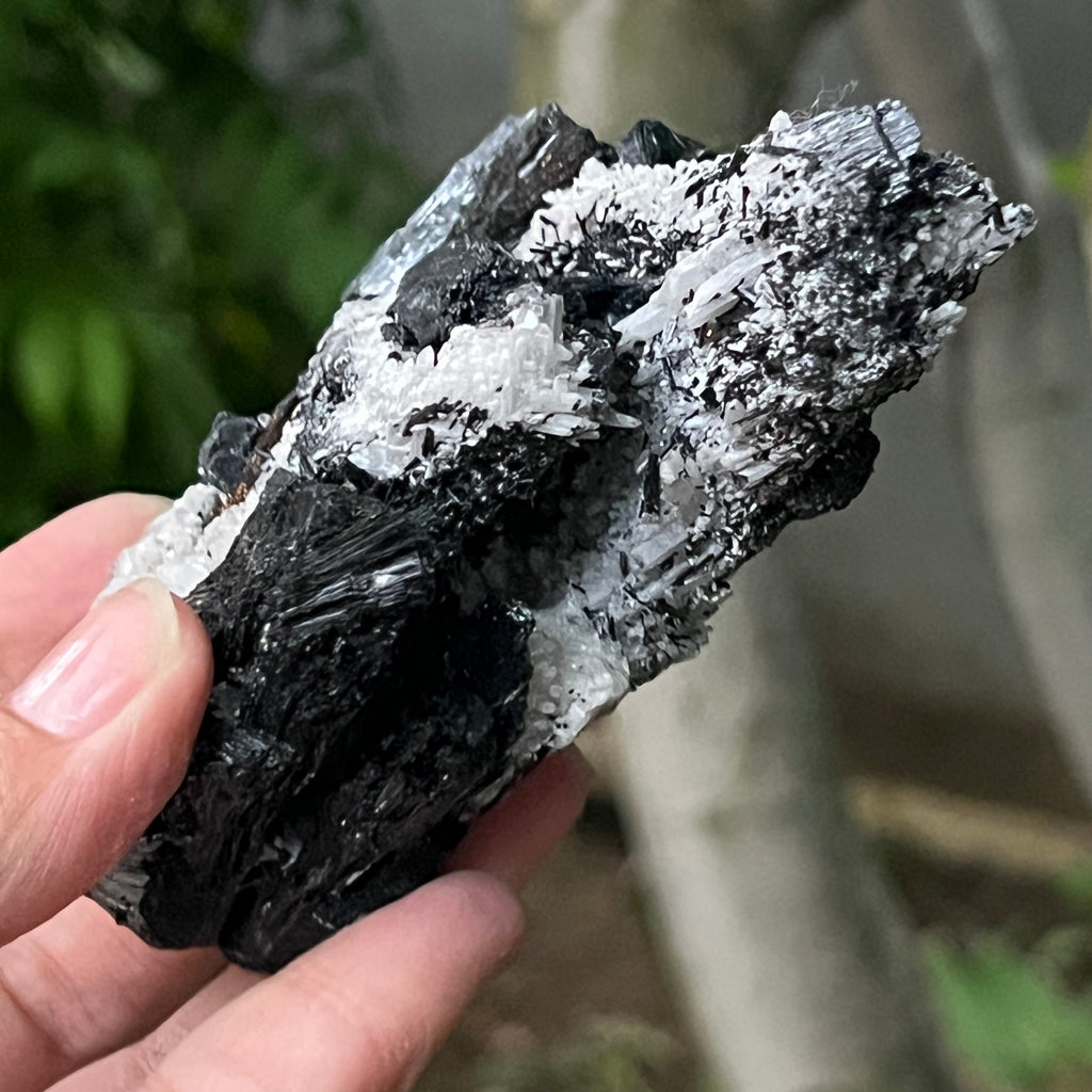 Cluster turmalina neagra model 11 din Erongo, Namibia, pietre semipretioase - druzy.ro 5 