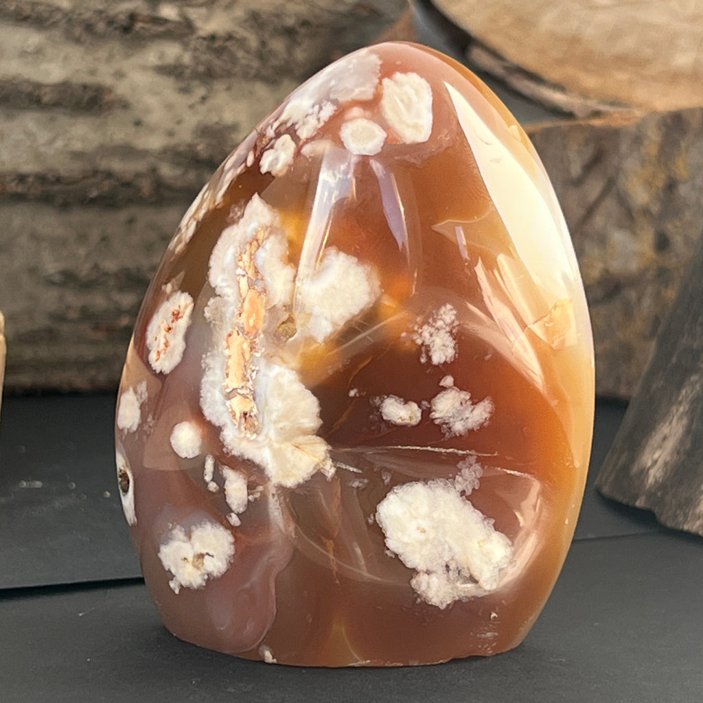 Agat coral floare din Madagascar model 13, pietre semipretioase - druzy.ro 2 