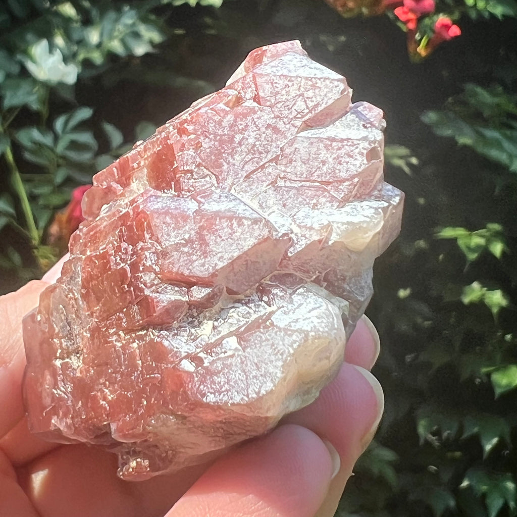 Cluster rosu hematoid din Zimbabwe model 4, pietre semipretioase - druzy.ro 4