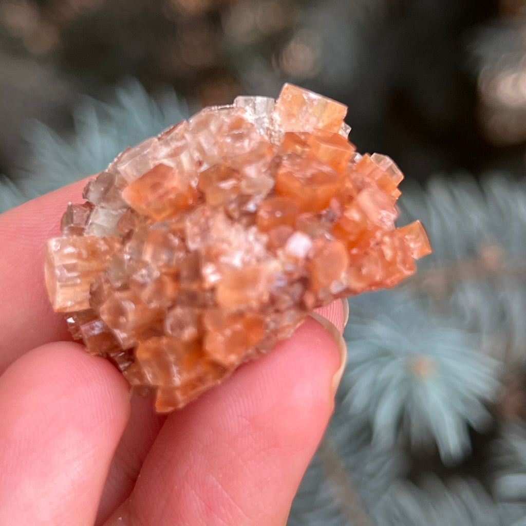 Cluster cristal aragonit din Maroc model 10, druzy.ro, pietre semipretioase 5