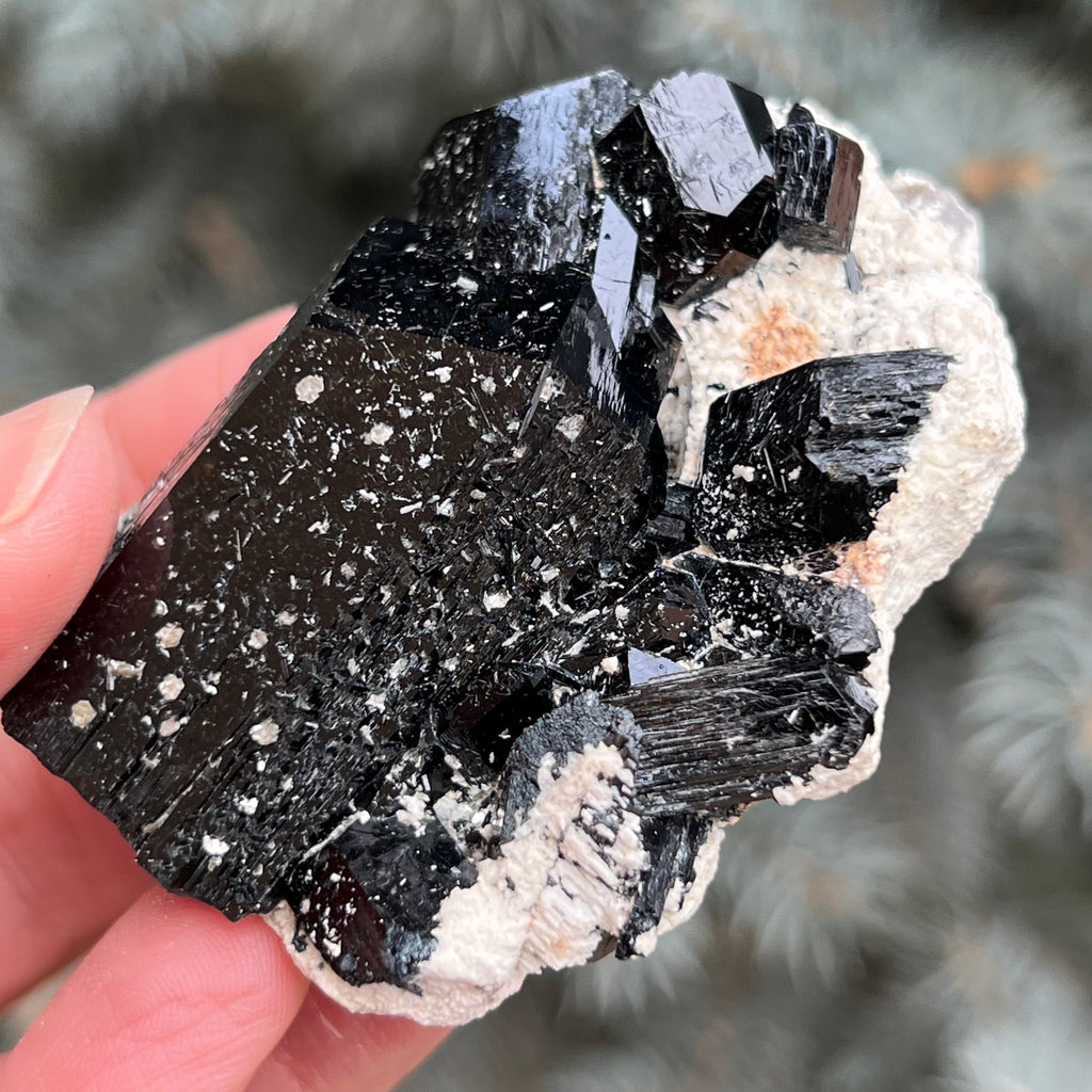 Cluster turmalina neagra model 1 din Erongo, Namibia, druzy.ro, cristale 2