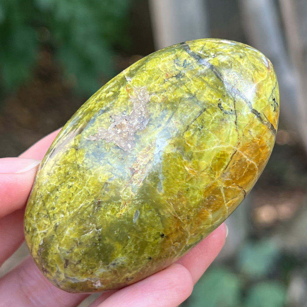 Opal verde palmstone m13, pietre semipretioase - druzy.ro 5 