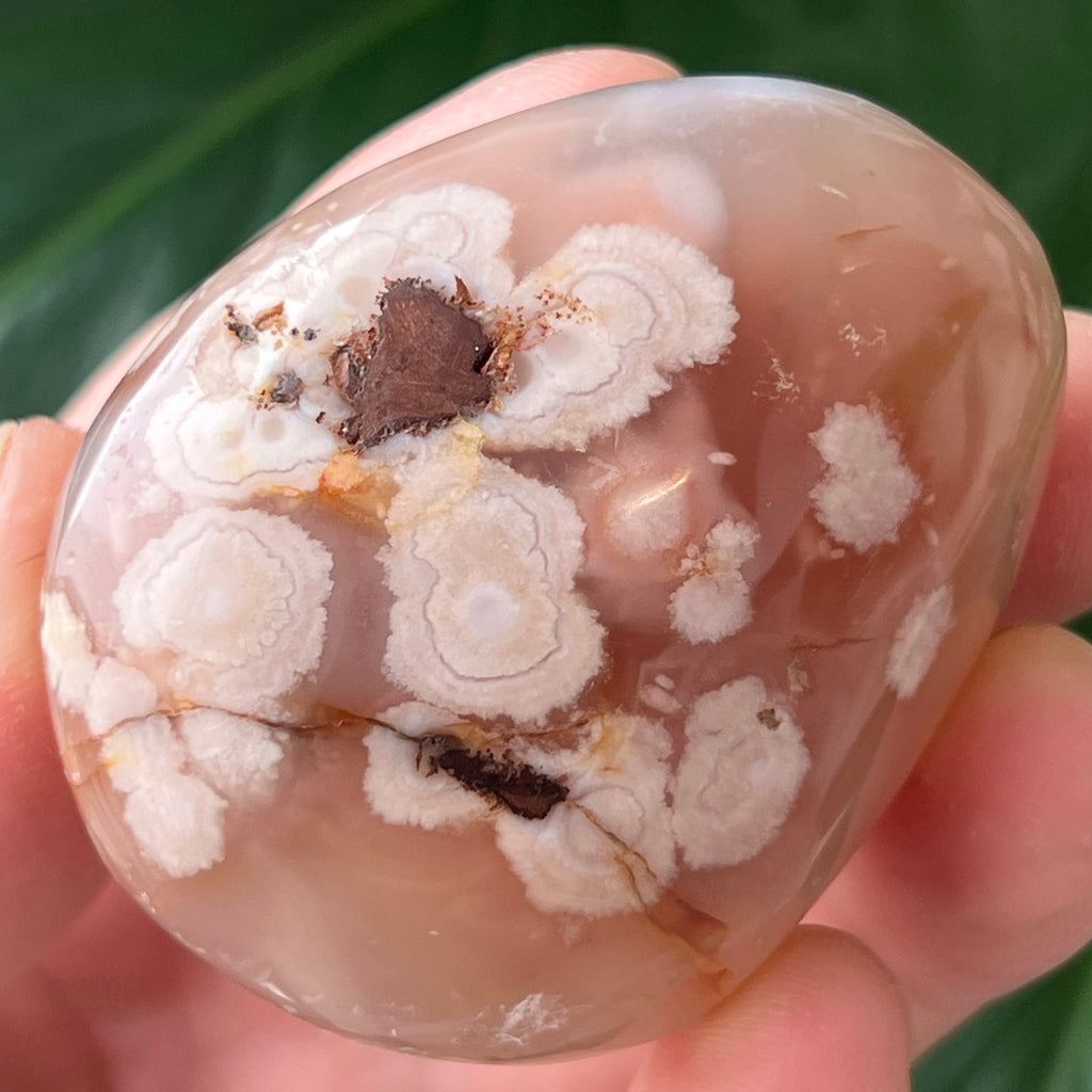 Palmstone agat coral floare rosu m30, pietre semipretioase - druzy.ro 1 