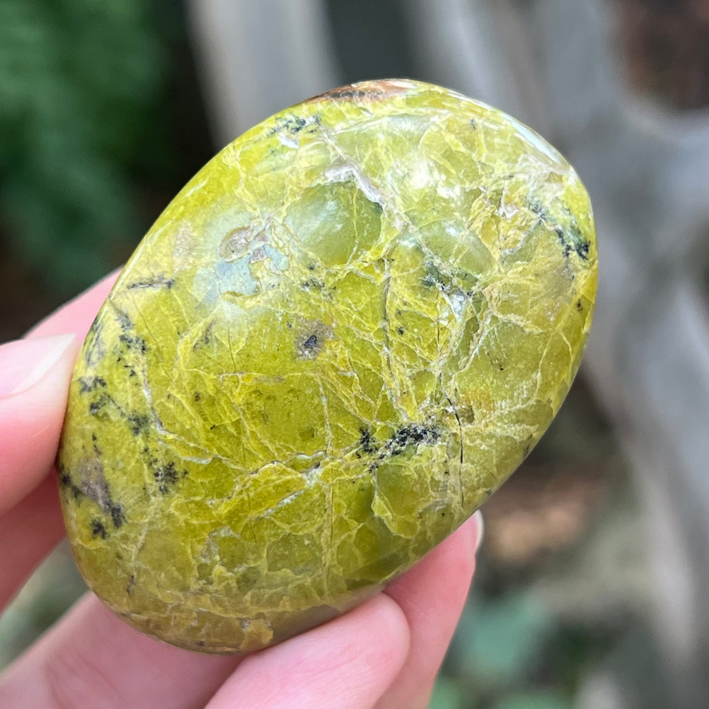 Opal verde palmstone m12, pietre semipretioase - druzy.ro 7 