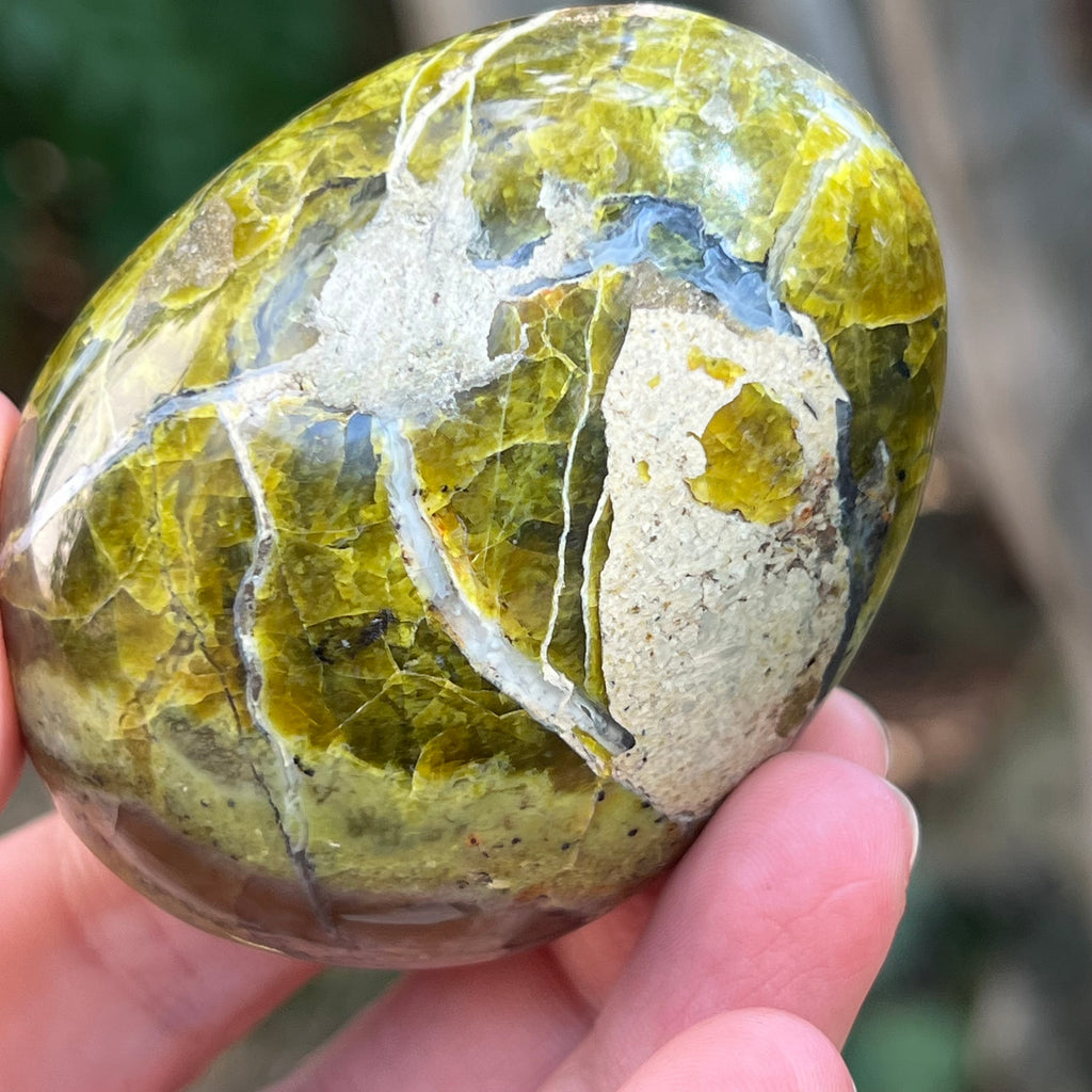 Opal verde palmstone m14, pietre semipretioase - druzy.ro 6 