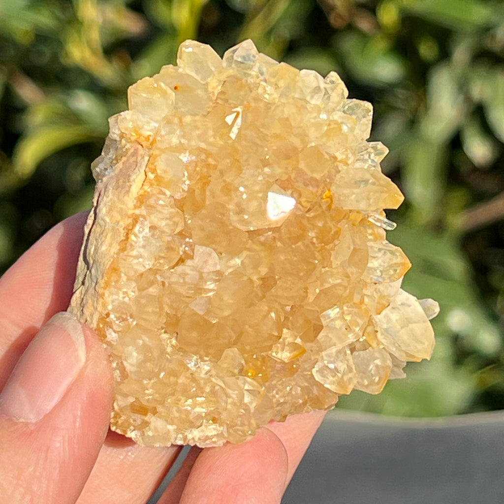 Cluster cuart lamaie Zambia, golden healer model 44, pietre semipretioase - druzy.ro 2 