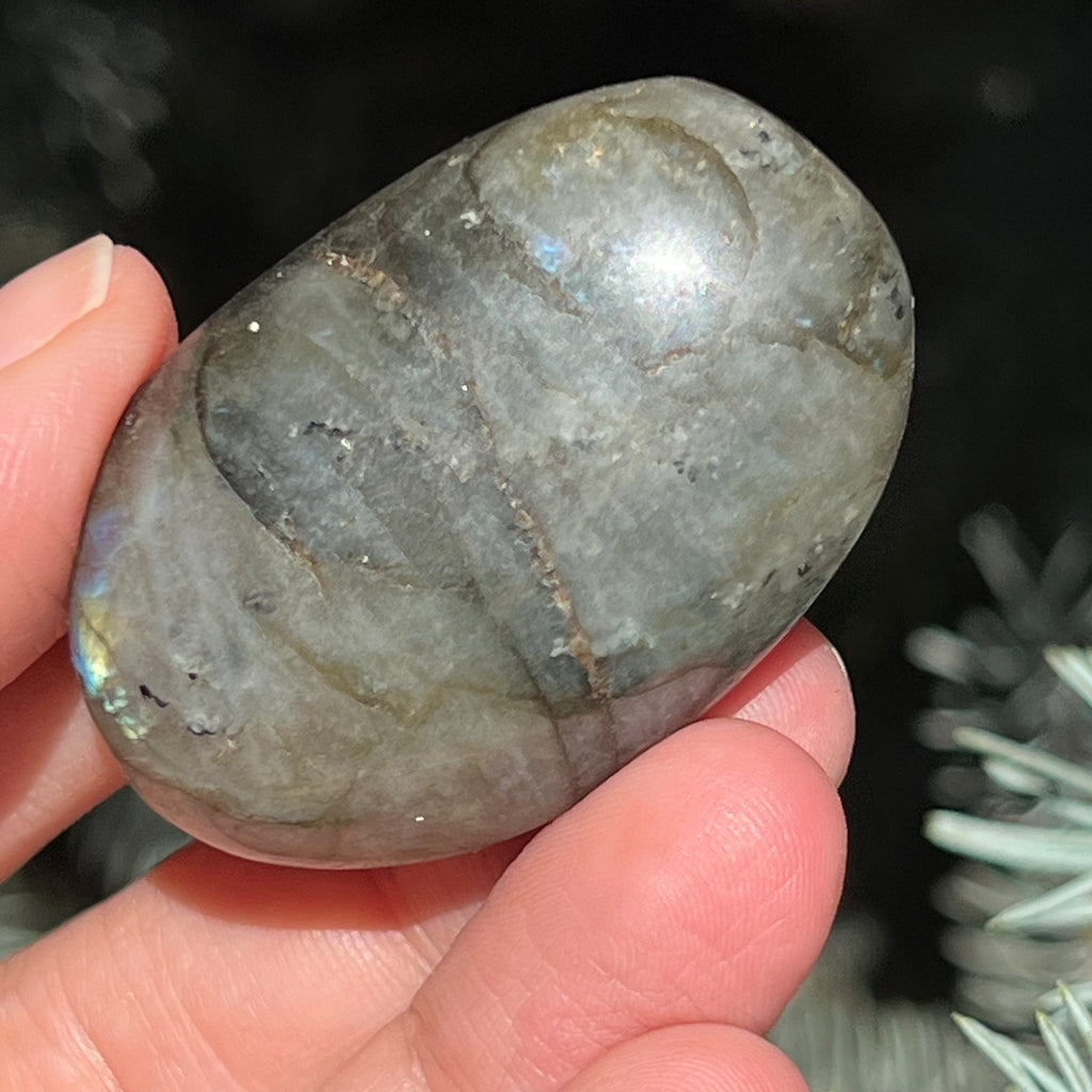 Labradorit palm stone m14, druzy.ro, cristale 6