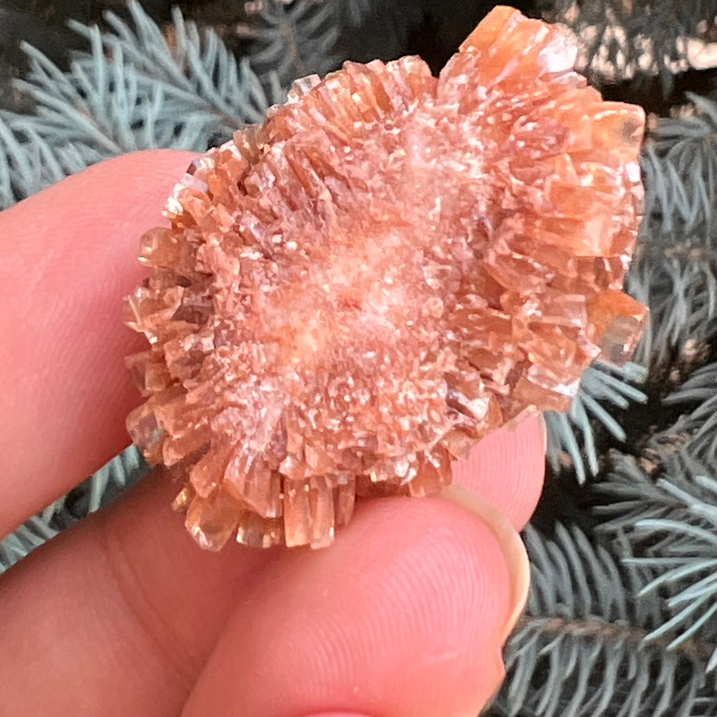 Cluster cristal aragonit din Maroc model 9, druzy.ro, pietre semipretioase 2