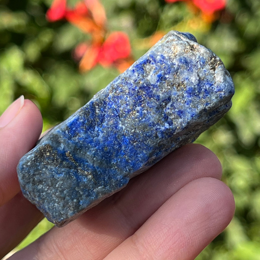 Piatra bruta Lapis Lazuli m3, druzy.ro, cristale 2
