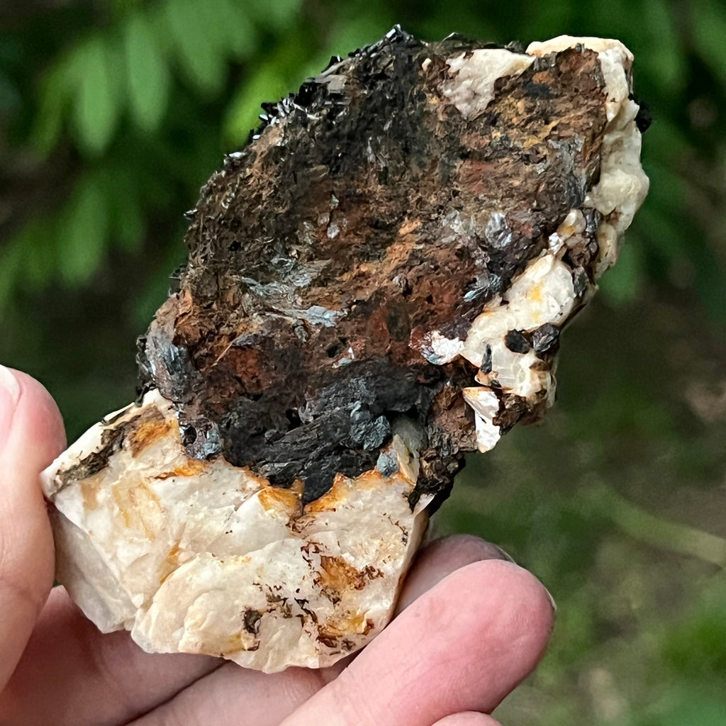 Cluster turmalina neagra model 10 din Erongo, Namibia, pietre semipretioase - druzy.ro 6 