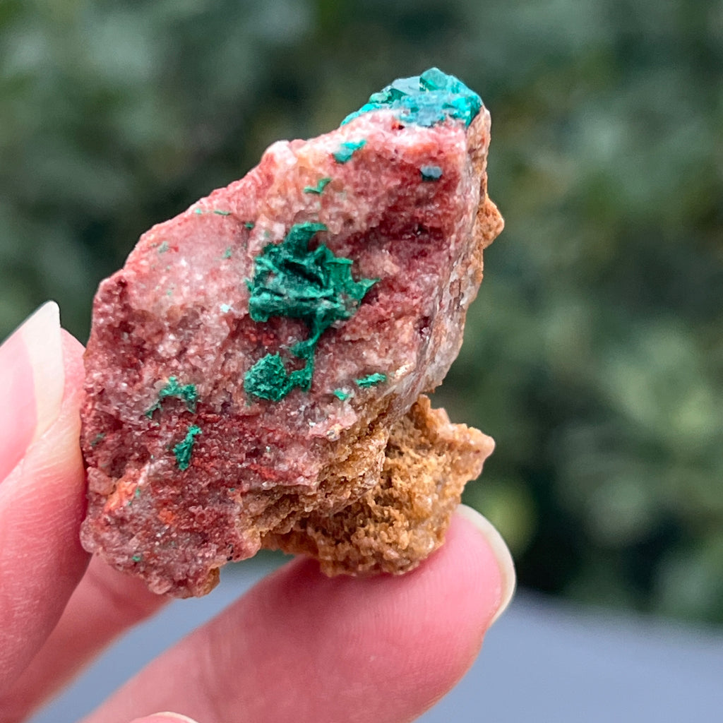 Dioptaz cluster din Congo model 27, pietre semipretioase - druzy.ro 3 