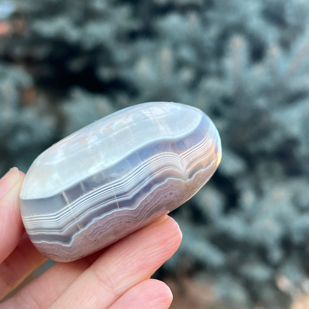 Agat de Botswana palm stone m4A, druzy.ro, cristale 1