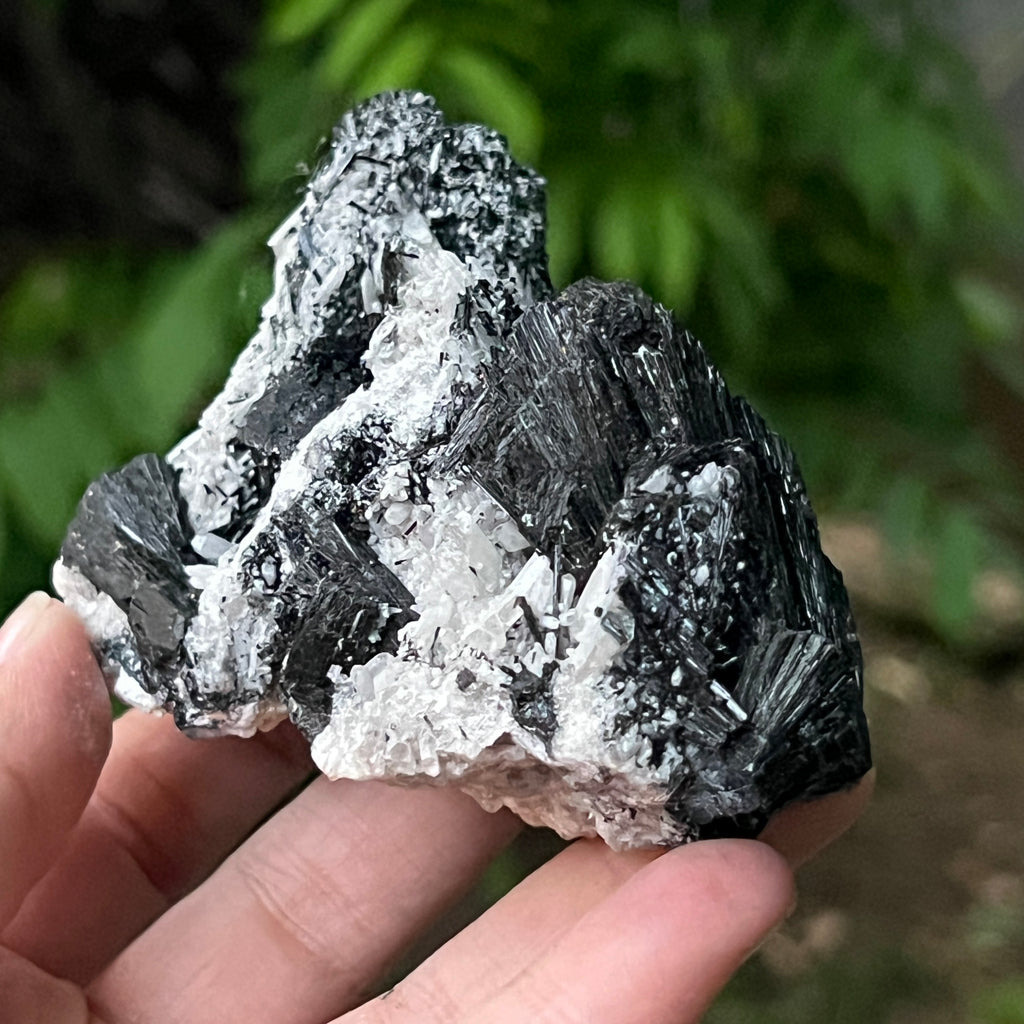 Cluster turmalina neagra model 11 din Erongo, Namibia, pietre semipretioase - druzy.ro 7 