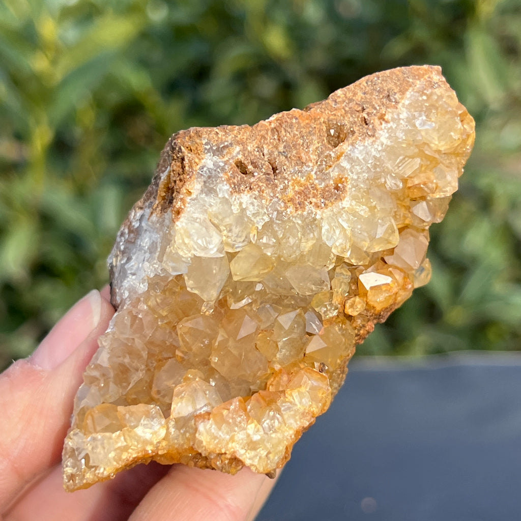 Cluster cuart lamaie Zambia, golden healer model 56, pietre semipretioase - druzy.ro 10 