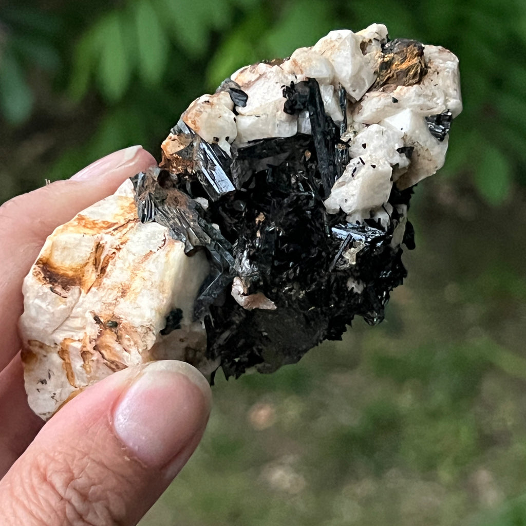 Cluster turmalina neagra model 10 din Erongo, Namibia, pietre semipretioase - druzy.ro 3 