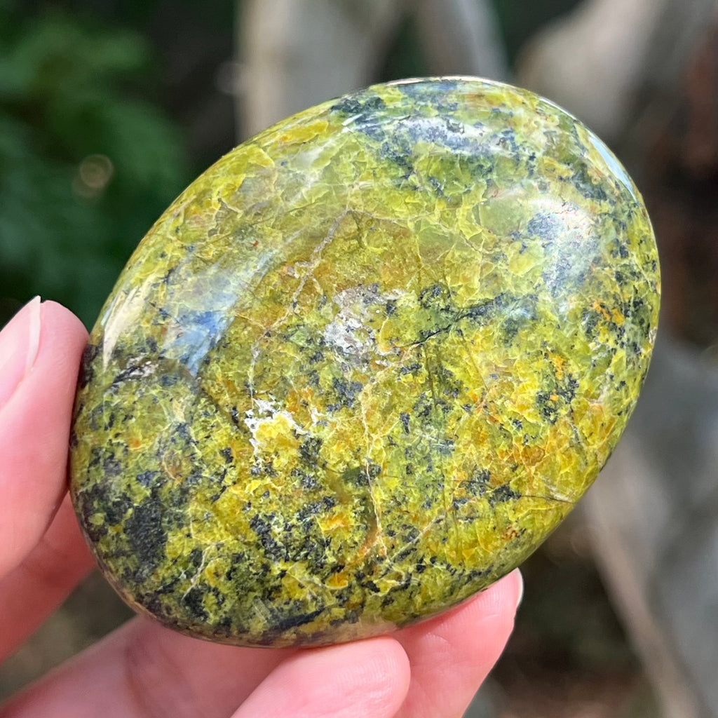 Opal verde palmstone m10, pietre semipretioase - druzy.ro 3 