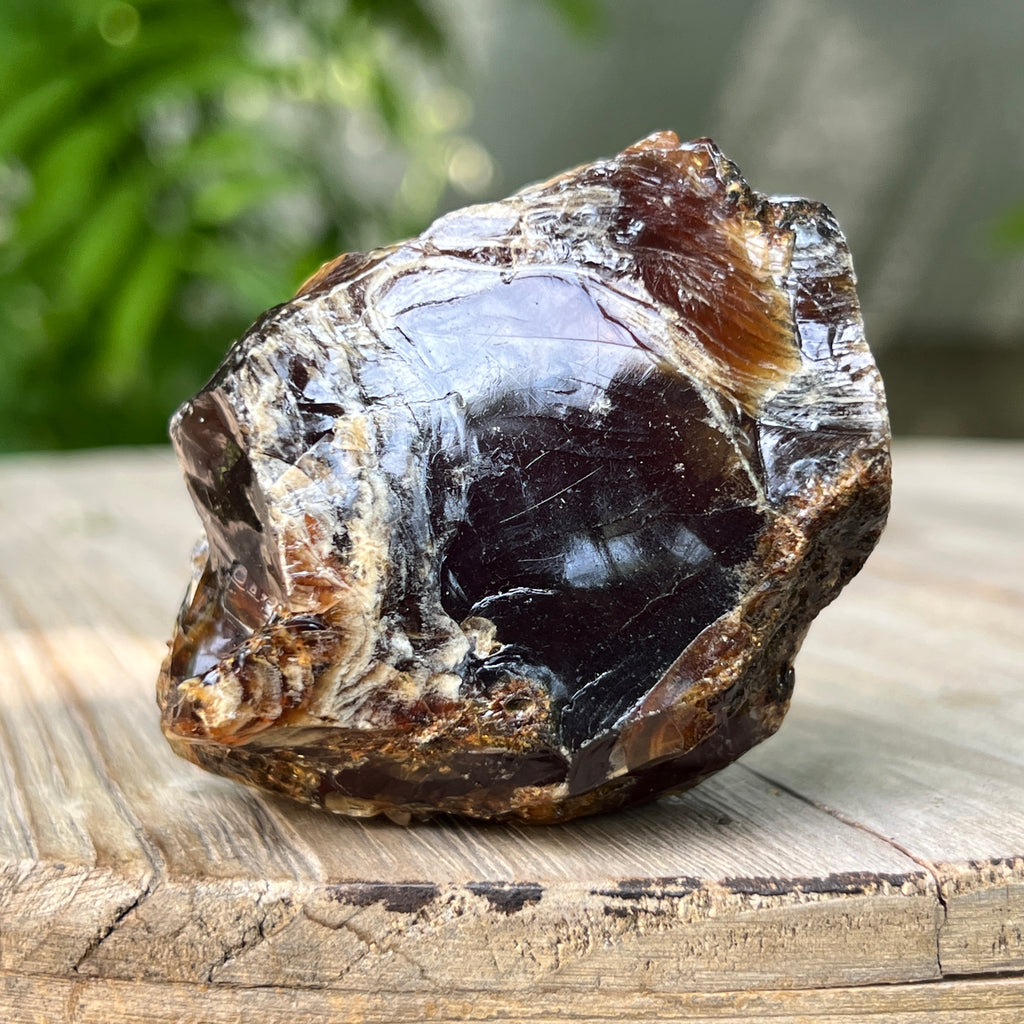 Chihlimbar fosil din Indonezia – Rășină naturală | Model 5, pietre semipretioase - druzy.ro 2 