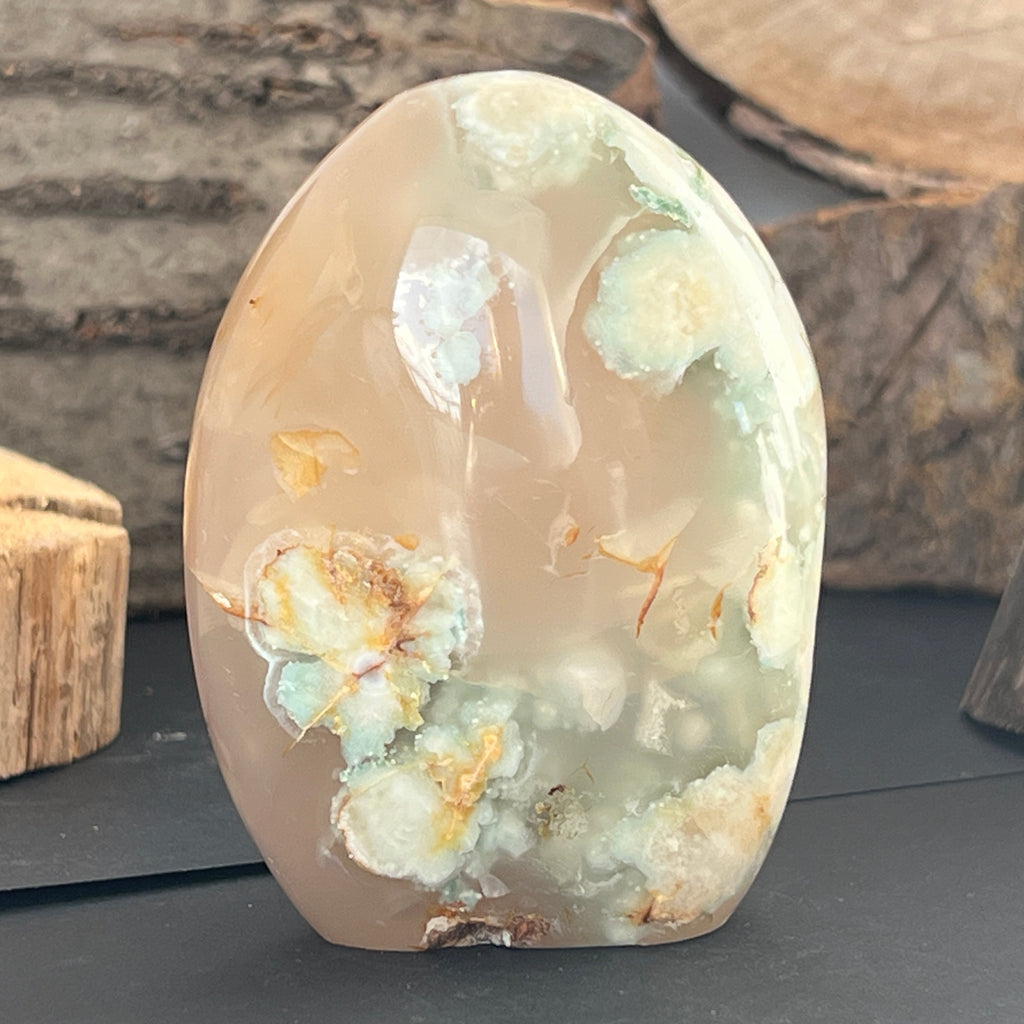 Agat coral floare din Madagascar model 12, pietre semipretioase - druzy.ro 4 