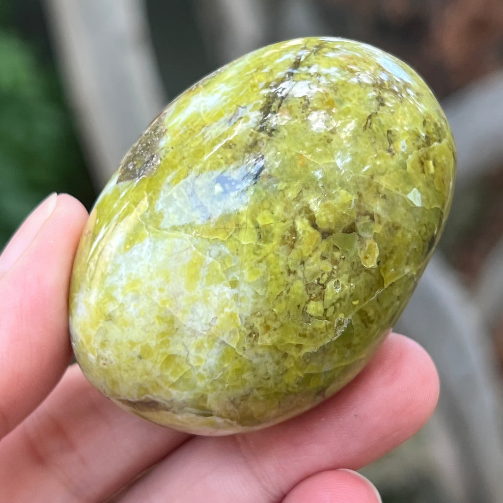 Opal verde palmstone m3, pietre semipretioase - druzy.ro 1 