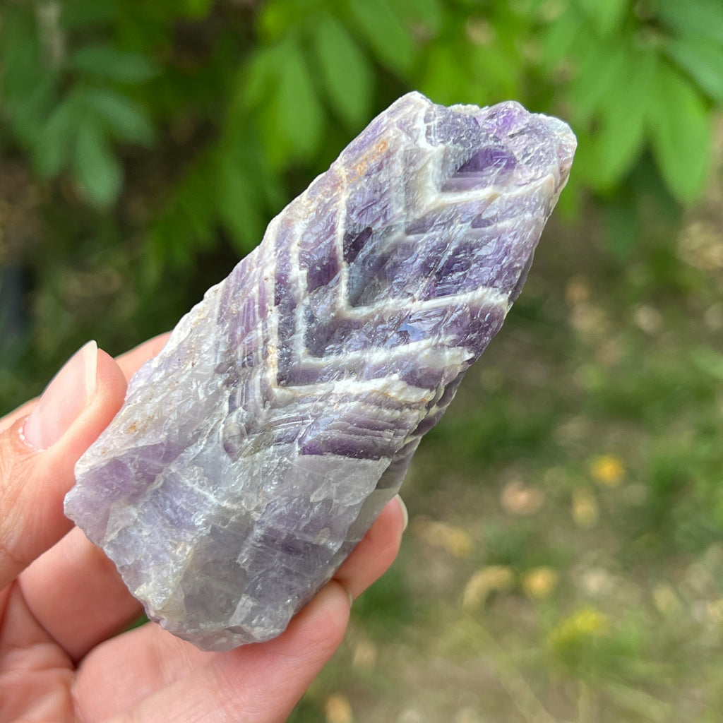 Ametist chevron piatra bruta/ varf m1, pietre semipretioase - druzy.ro 1 