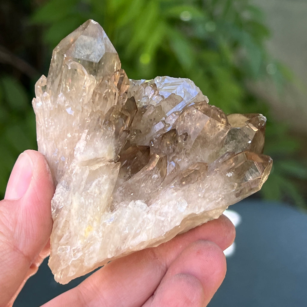 Citrin fumuriu din Congo – specimen natural, netratat | Model 3, pietre semipretioase - druzy.ro 2 