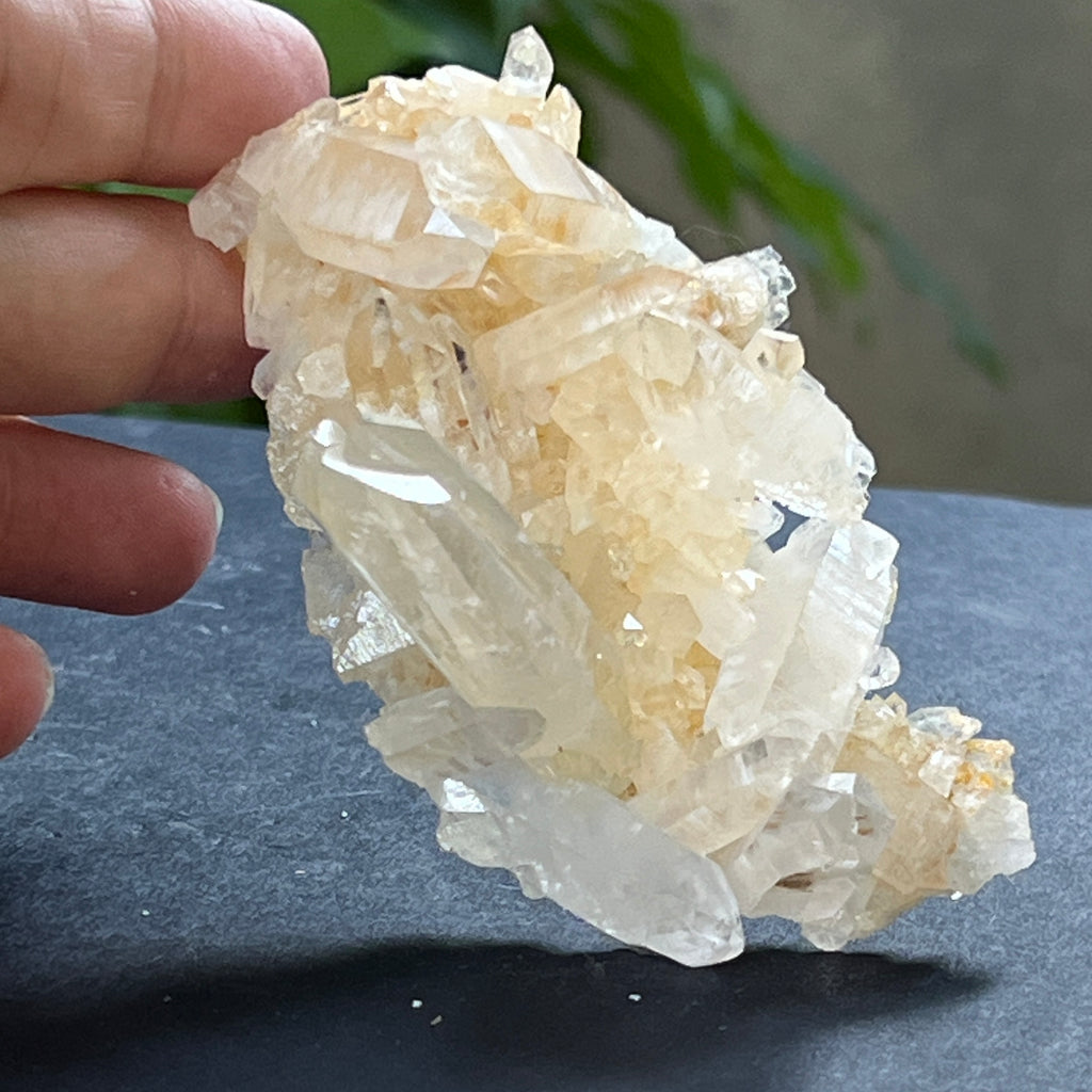 Cluster cuart incolor, floare de mina, cristal de stanca Zimbabwe m12, pietre semipretioase - druzy.ro 3 