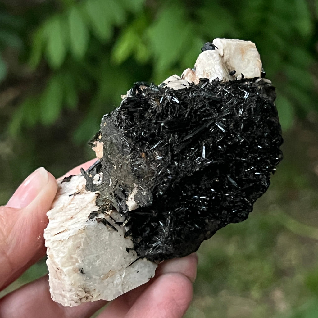 Cluster turmalina neagra model 10 din Erongo, Namibia, pietre semipretioase - druzy.ro 4 