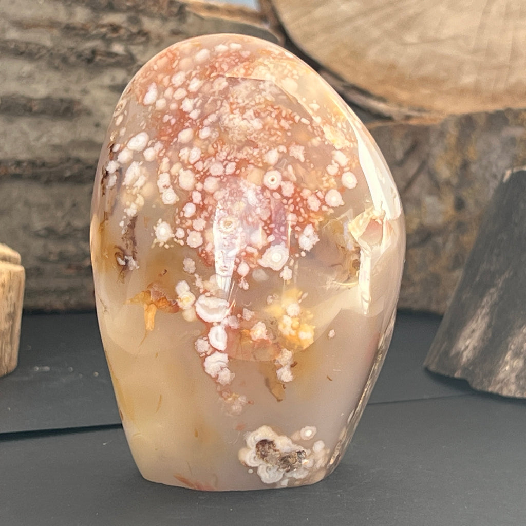 Agat coral floare din Madagascar model 15, pietre semipretioase - druzy.ro 2 