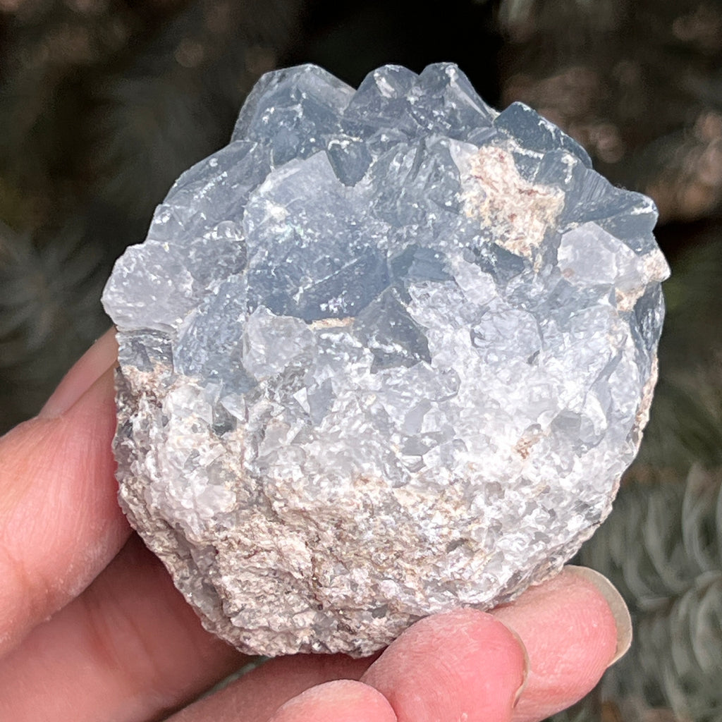 Celestit / celestina cluster m5, pietre semipretioase - druzy.ro 3 