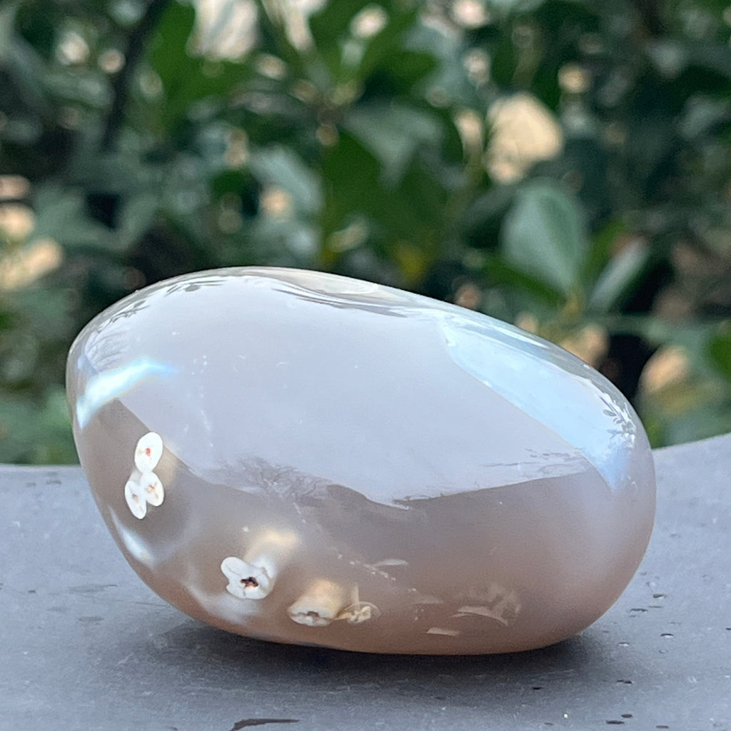 Agat Orca palmstone JUMB0 1, pietre semipretioase - druzy.ro 5 