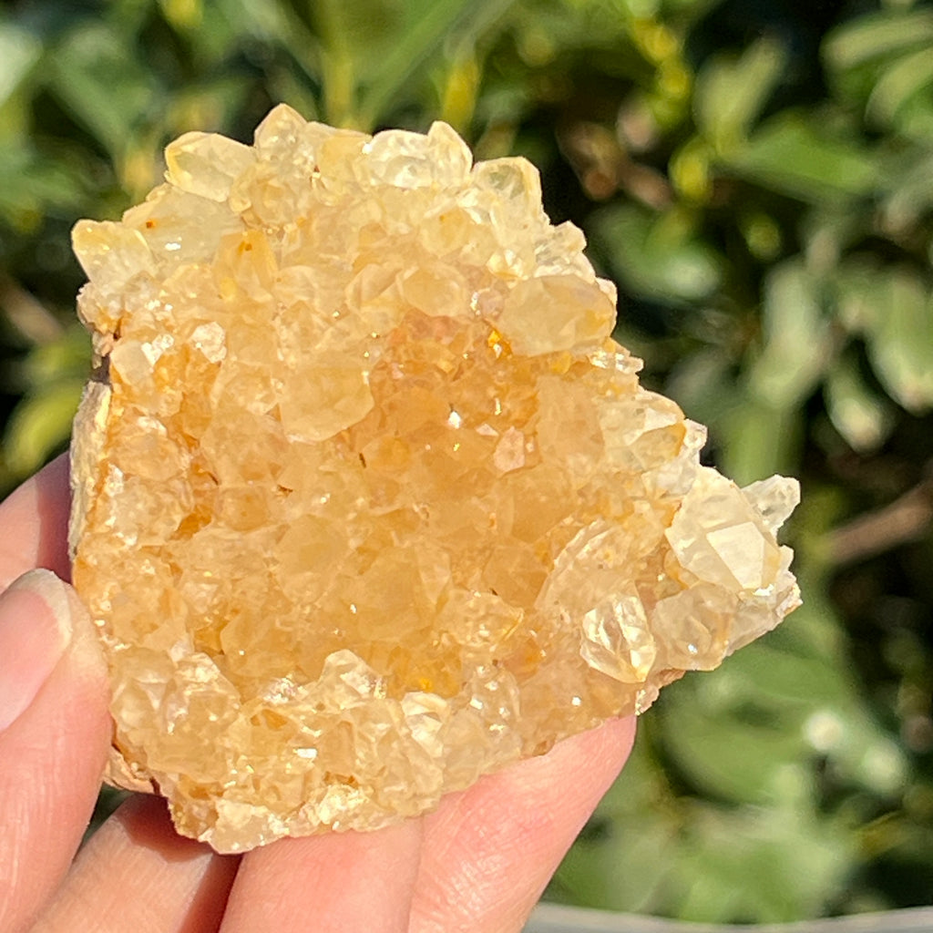 Cluster cuart lamaie Zambia, golden healer model 44, pietre semipretioase - druzy.ro 3 