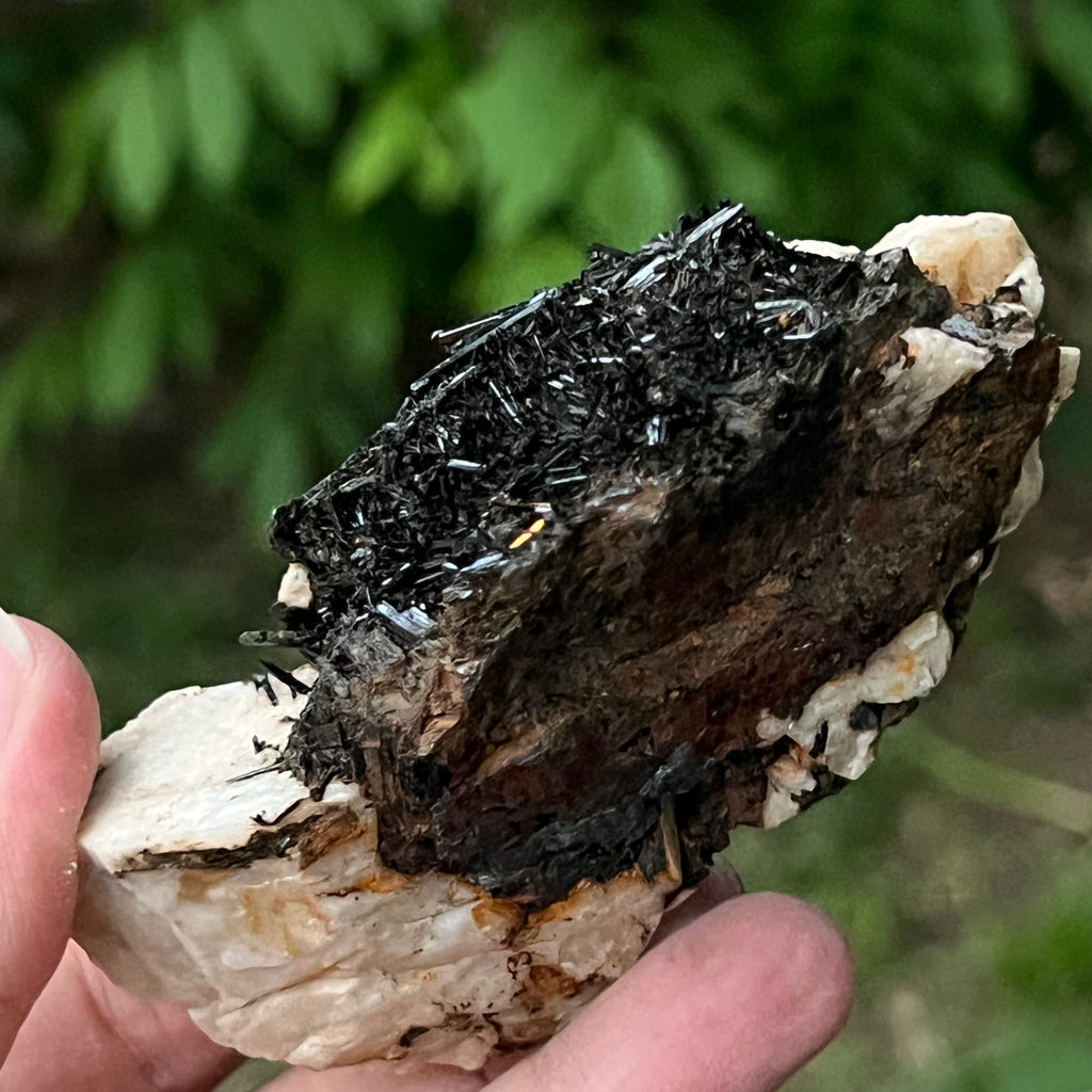 Cluster turmalina neagra model 10 din Erongo, Namibia, pietre semipretioase - druzy.ro 5 