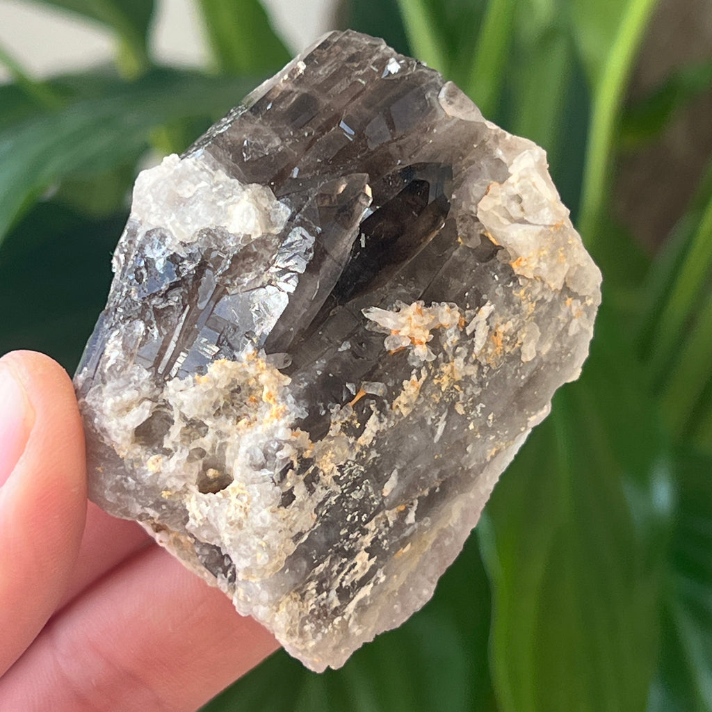 Cuart fumuriu generator/varf mina Brandberg | Model L17, pietre semipretioase - druzy.ro 2 