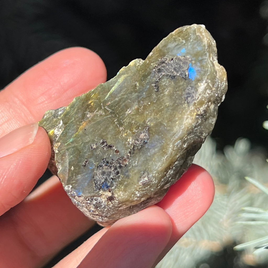 Labradorit piatra bruta polisata pe o fata e1, druzy.ro, cristale 4