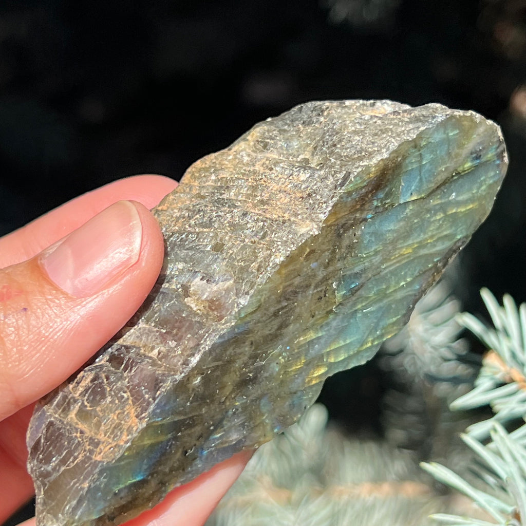 Labradorit piatra bruta polisata pe o fata m6, druzy.ro, cristale 5