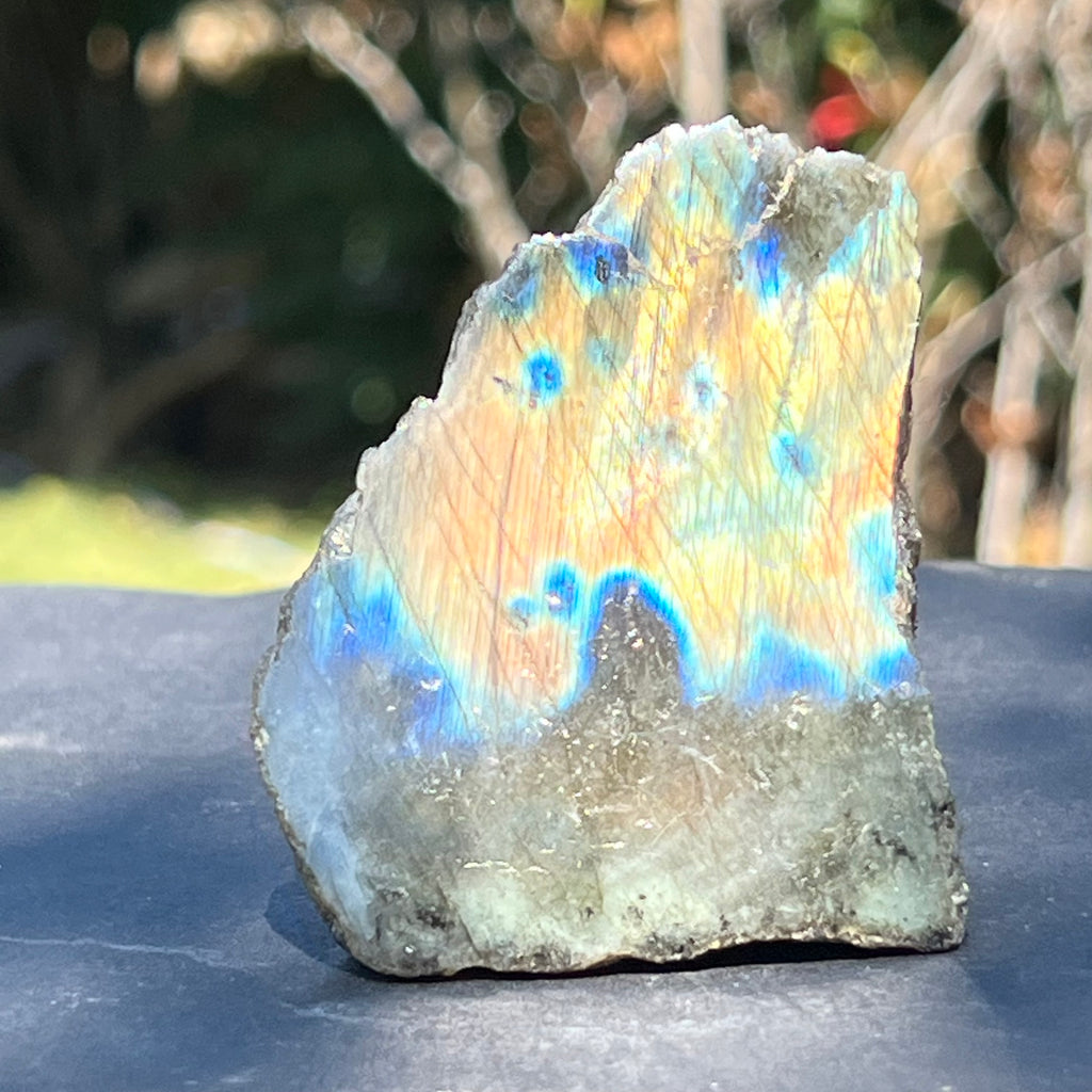 Labradorit piatra bruta polisata pe o fata m5, druzy.ro, cristale 1