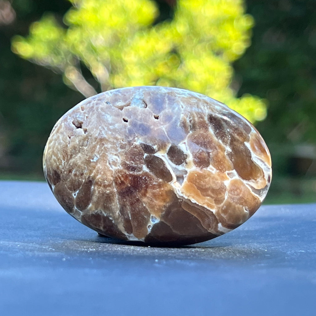 Palm stone calcit ciocolata m1, druzy.ro, cristale 1
