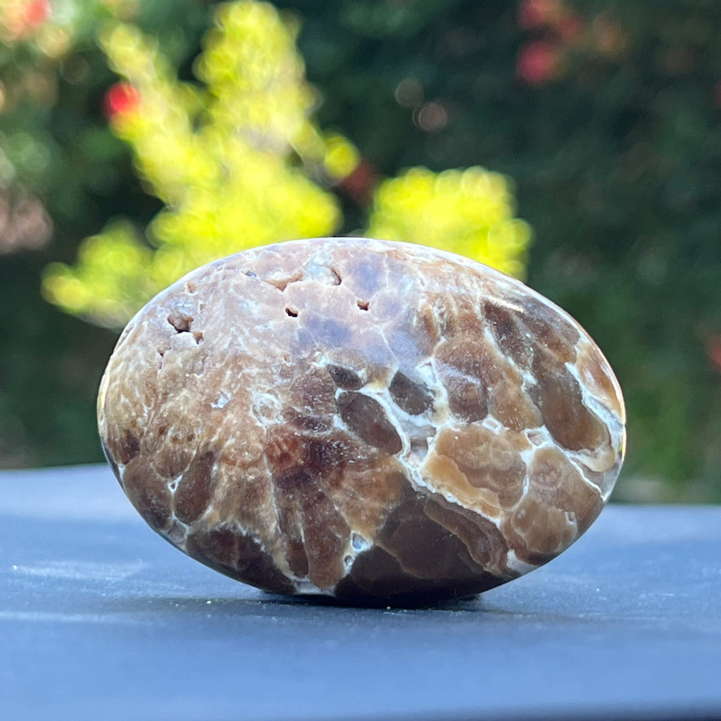 Palm stone calcit ciocolata m1, druzy.ro, cristale 2