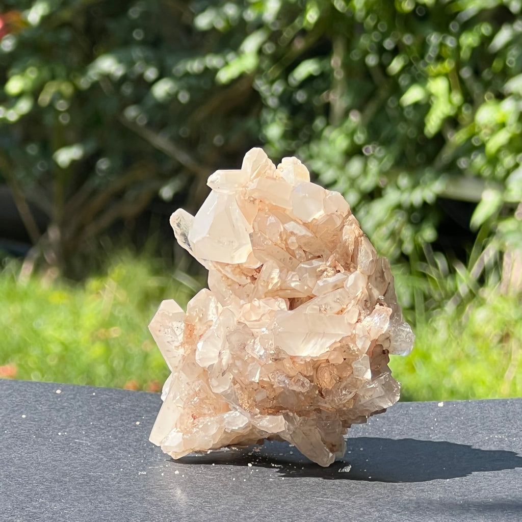 Cluster cuart Malagasy incolor m6, druzy.ro, cristale 2