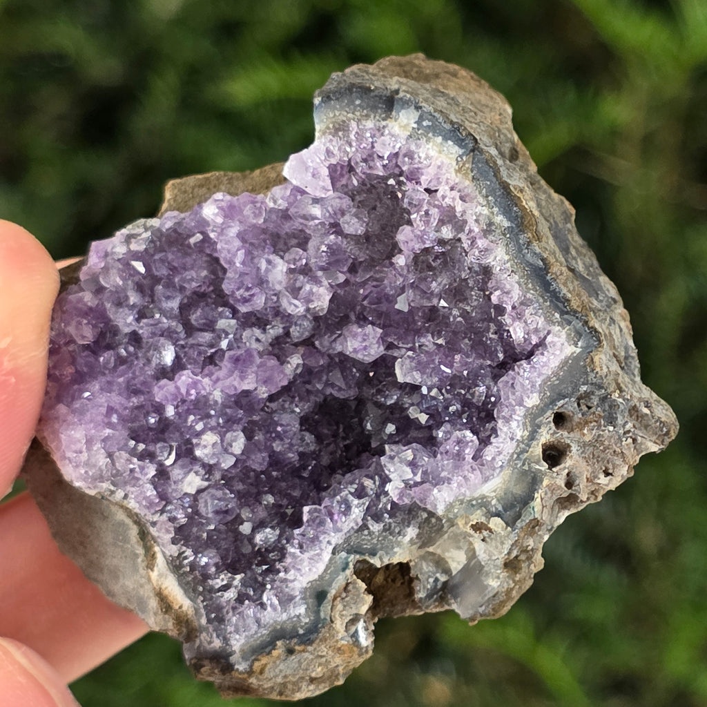 Cluster ametist model 27, pietre semipretioase - druzy.ro 1 