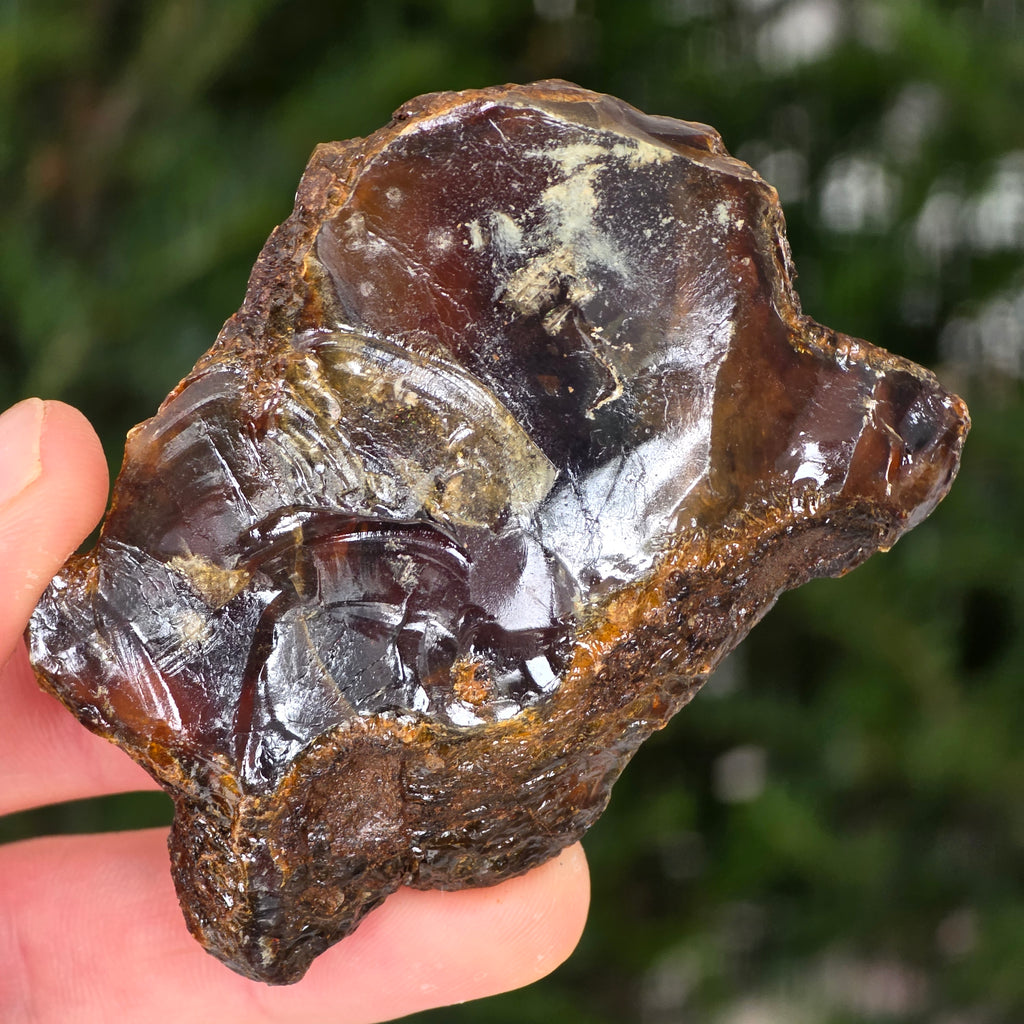 Chihlimbar fosil din Indonezia – Rășină naturală | Model 2, pietre semipretioase - druzy.ro 2 