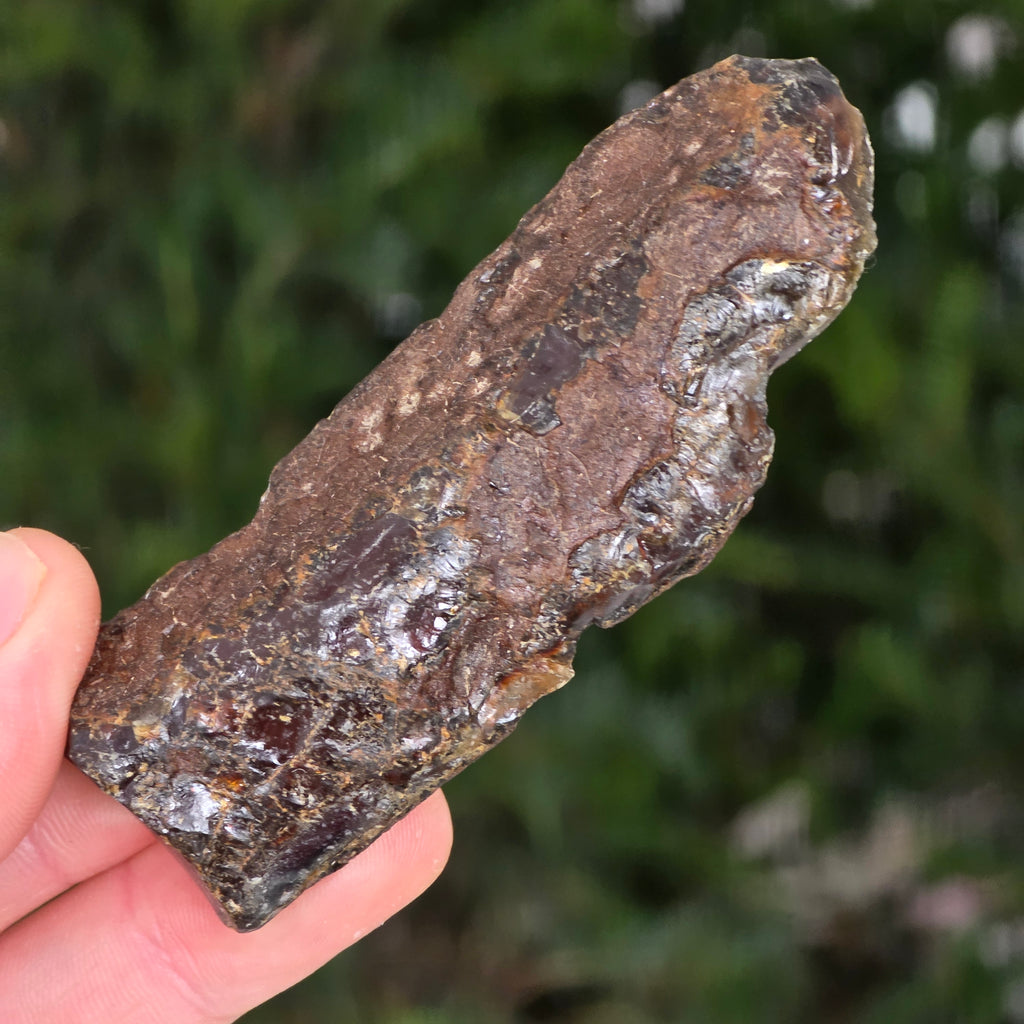 Chihlimbar fosil din Indonezia – Rășină naturală | Model 7, pietre semipretioase - druzy.ro 4 