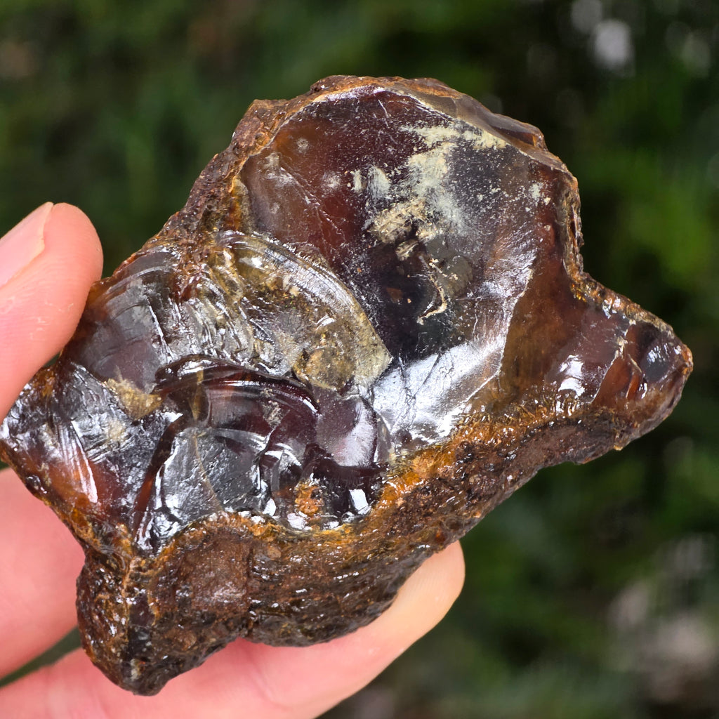 Chihlimbar fosil din Indonezia – Rășină naturală | Model 2, pietre semipretioase - druzy.ro 1 